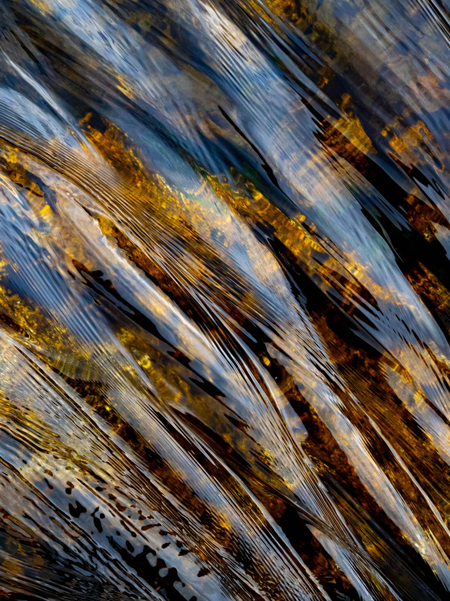 FINN-badaire-samuel-08