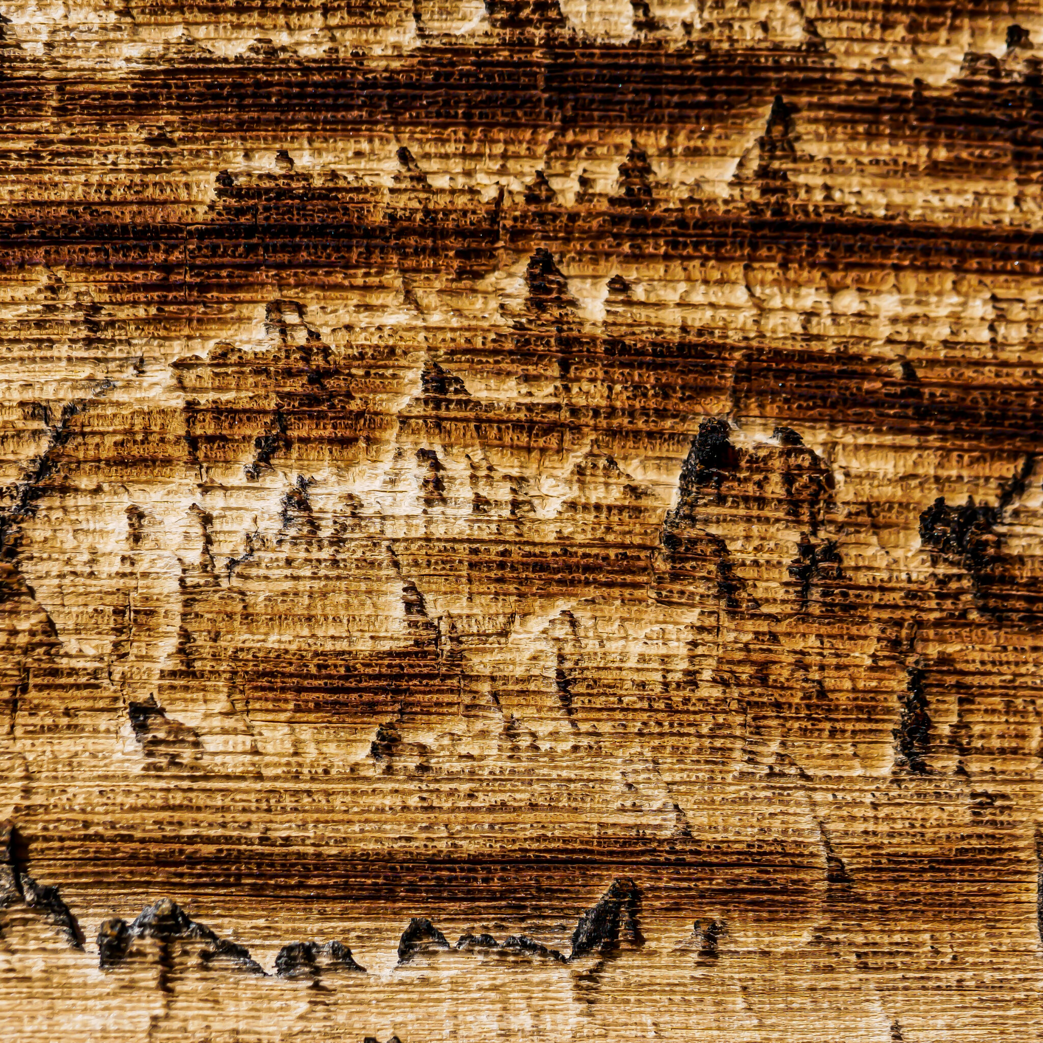 FINN-badaire-samuel-09