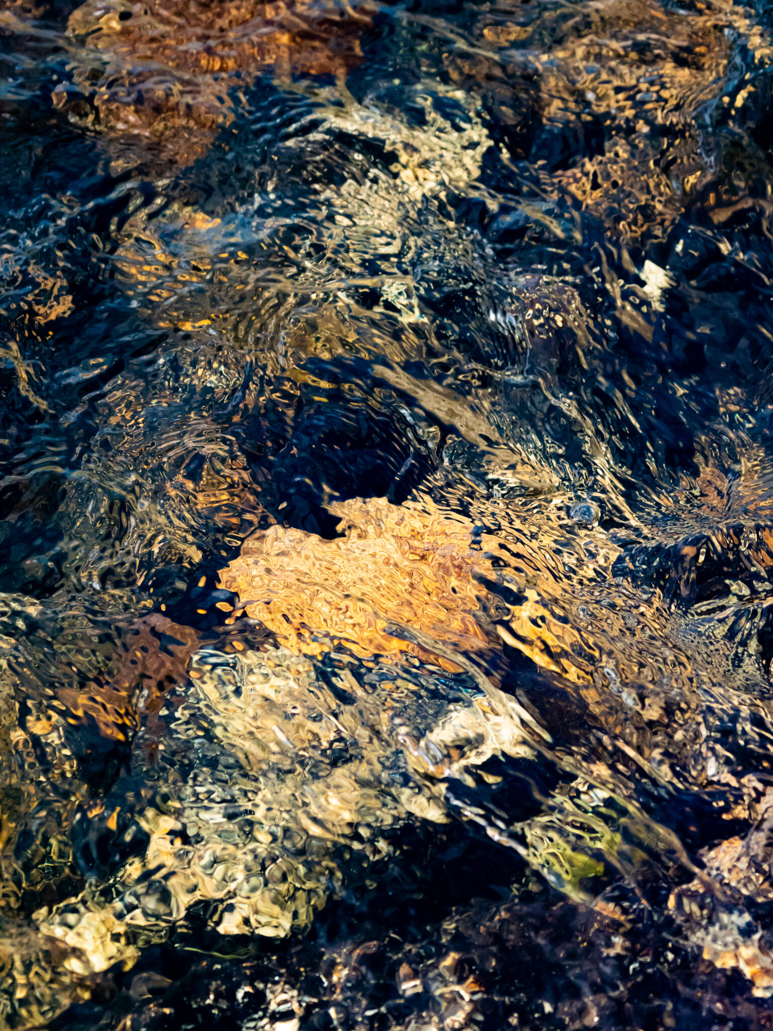 FINN-badaire-samuel-11